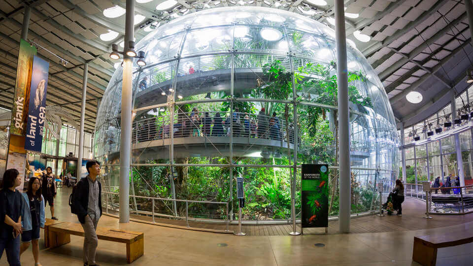 1. آکادمی علوم کالیفرنیا (California Academy of Sciences)